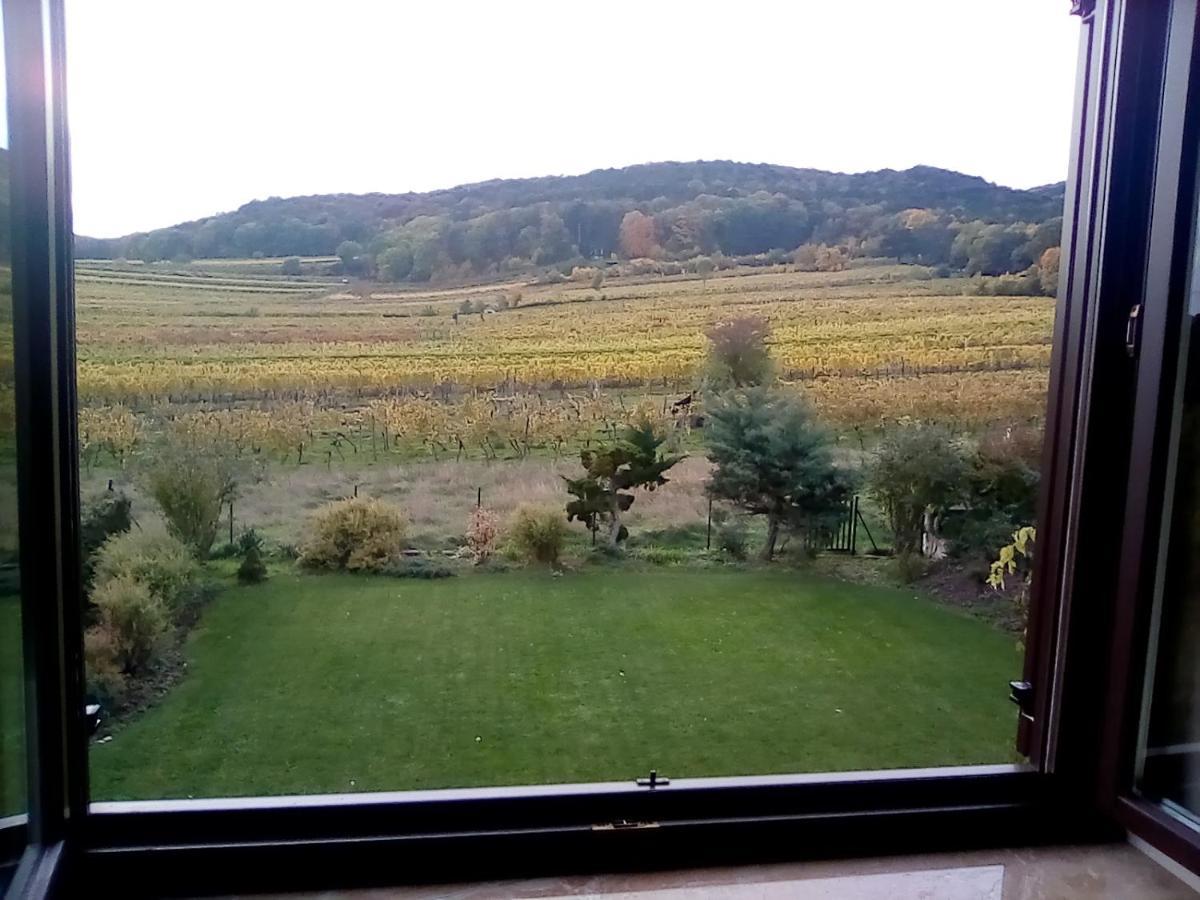 Top Over Vienna, Perchtoldsdorf Weinberge Ideal With Car Exterior photo