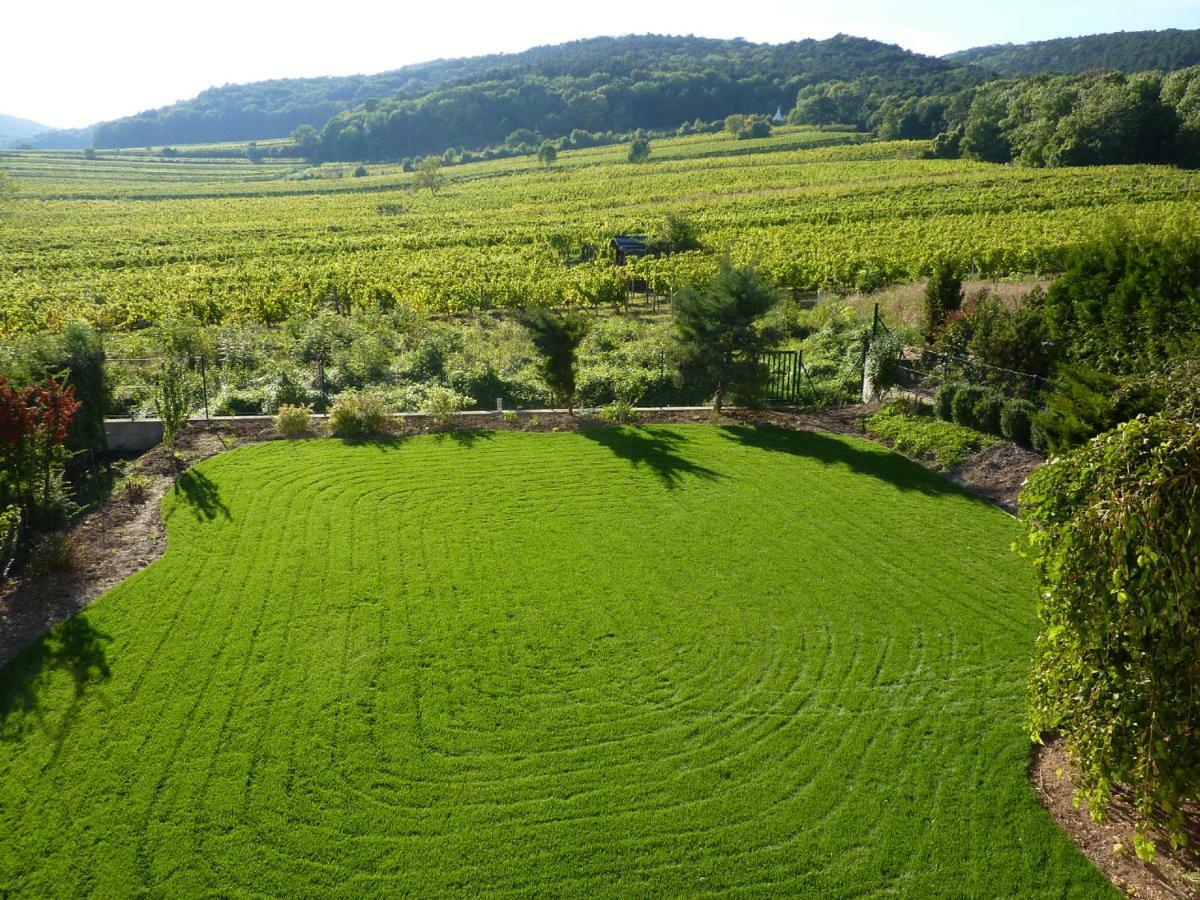 Top Over Vienna, Perchtoldsdorf Weinberge Ideal With Car Exterior photo