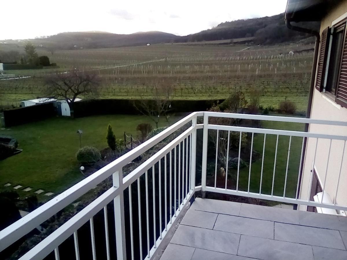 Top Over Vienna, Perchtoldsdorf Weinberge Ideal With Car Exterior photo